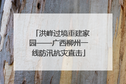 洪峰过境重建家园——广西柳州一线防汛抗灾直击